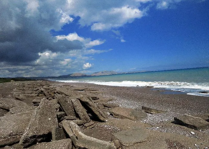 Golden Sunrise Gennadi