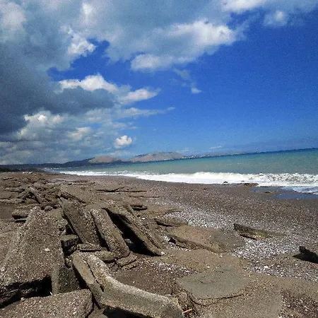 Golden Sunrise ゲンナジー